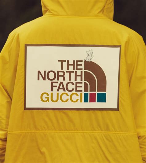 nortj face gucci|gucci north face shop.